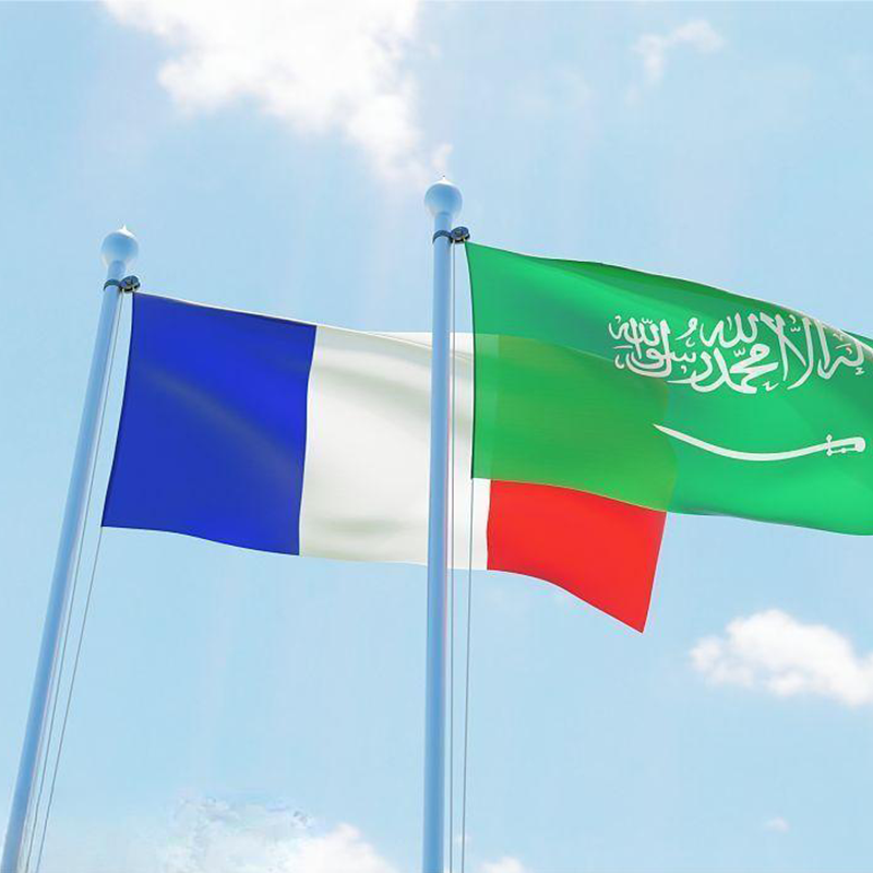 Arabia et Gallia Saudiana memoriale intellegendi de industria cooperante signati sunt
