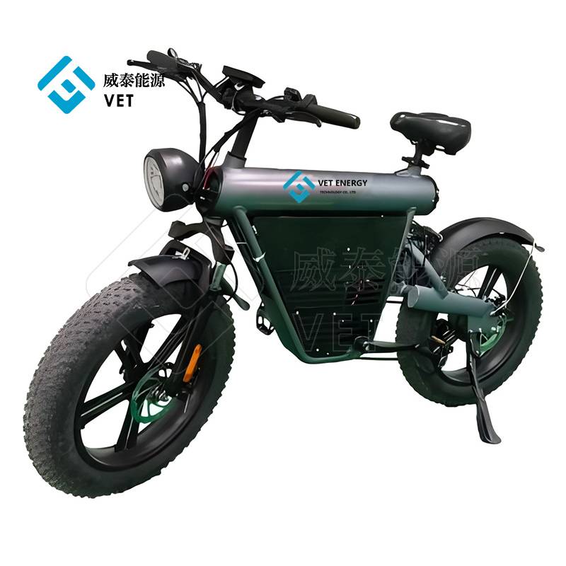 Hydrogenium Assisted Powered Fuel Cell Electric habebat vehentem